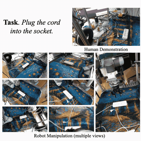 RH20T: A Comprehensive Robotic Dataset for Learning Diverse Skills in One-Shot